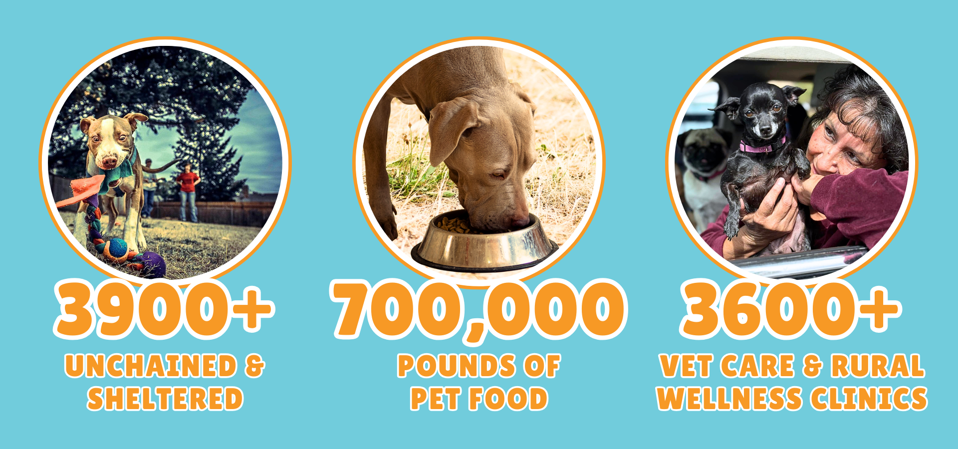 Impact of our Mission