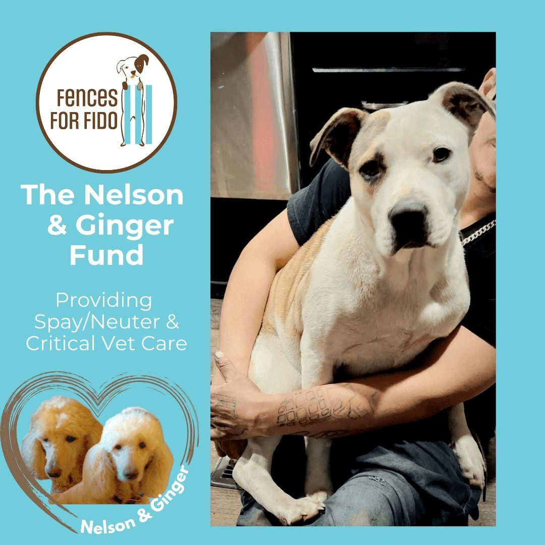 Nelson and Ginger Fund